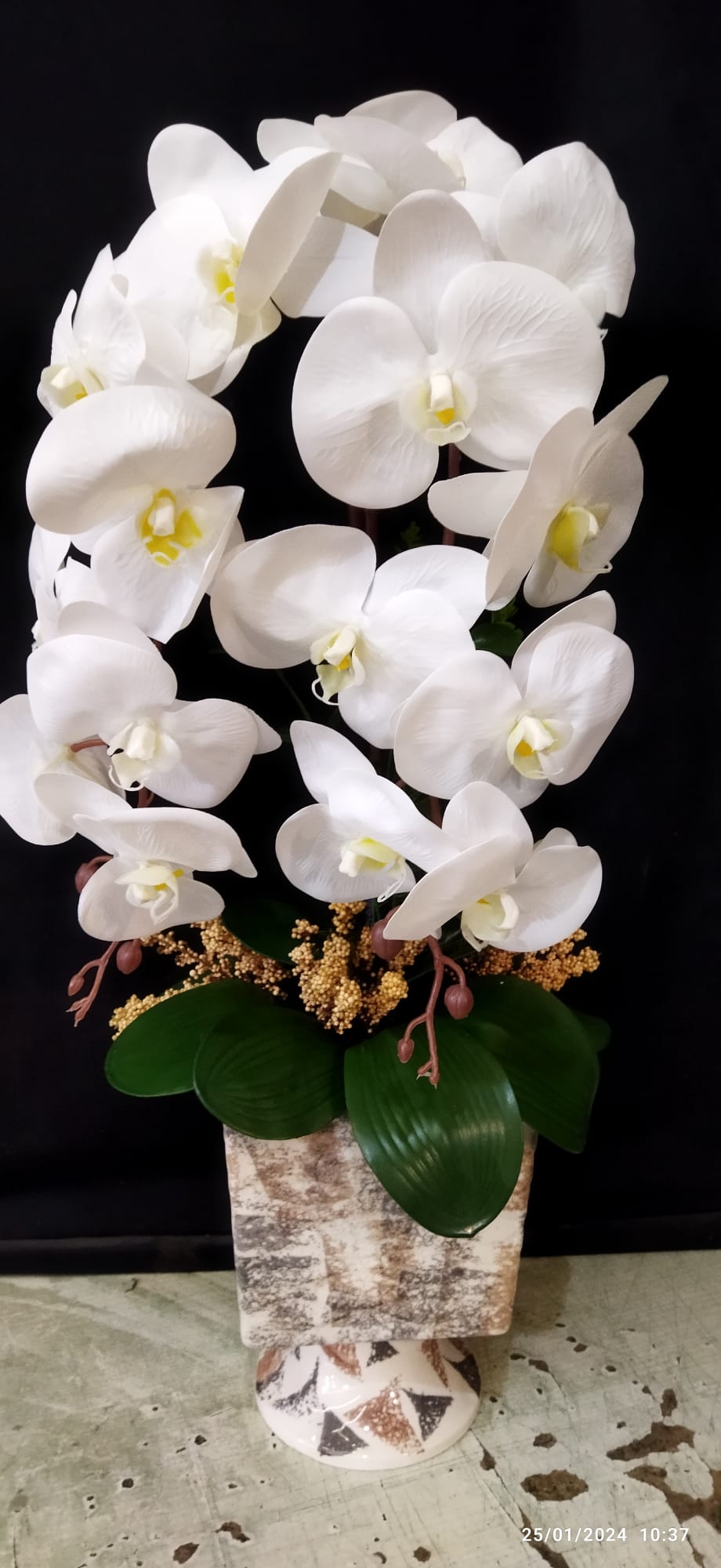 Yapay Çift Dal Orkide 